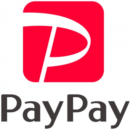 PayPayLOGO