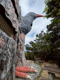 LINE_ALBUM_2026321_260321_2