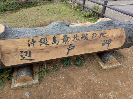 LINE_ALBUM_2026321_260321_4